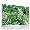 Obraz drukowany na płótnie KWIAT MONSTERA 120x80cm