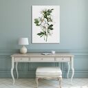 Obraz drukowany na płótnie BIAŁE KWIATY 50x70 cm 03155 - gotowy do powieszenia