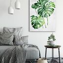 Obraz drukowany na płótnie KWIAT MONSTERA 70x100cm