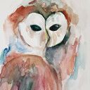 Cztery akwarele-sowy - komplet 4 sztuki A5