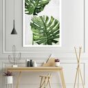 Obraz drukowany na płótnie KWIAT MONSTERA 80x120cm