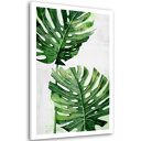 Obraz drukowany na płótnie Kwiat Monstera 80x120 cm - gotowy do zawieszenia