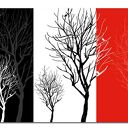 Obraz XXL DRZEWO 12 120x70 cm na płótnie
