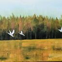 Obraz akrylowy na płótnie, 120x40x2cm, Podlaskie granice