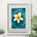 Akwarela A5 Kwiat Frangipani