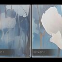 Obraz do sypialni - BIAŁE KWIATY POLNE DELIKATNY MOTYW FLORALNY - 70x50 cm (103601)