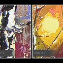 Obraz na płótnie - Las Zima Drzewa 90x60 cm (62601/90x60)