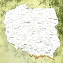 Obraz dla Pani Olgi
