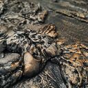 Obraz okrągły DECADENT - metaliczna płaskorzeźba 100 cm