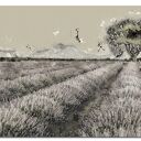 Obraz LAWENDA 1 - 120x70cm na płótnie do salonu design