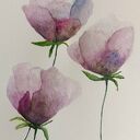 Oryginalna akwarela "Kwiaty" 25x18 cm - ręcznie malowana, sygnowana, bez ramy