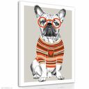 Obraz na płótnie - 80x100cm BULDOG FRANCUSKI wysyłka w 24h 02200