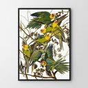 Plakat obraz papugi w kwiatach A3 29.7x42.0cm