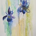 Irysy - akwarela ręcznie malowana 18x24 cm