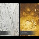 Obraz do salonu - BIAŁE KALIE KWIATY ZŁOTE AKCENTY - 70x50 cm (100101)