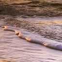 Obraz na płótnie Morze Bałtyk - fale, plaża i zachód słońca