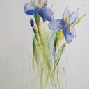 Irysy - akwarela 18x24 cm na papierze 300 g/m2 (ręcznie malowana)