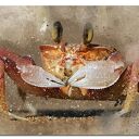 Obraz KRAB 1 120x70 cm na płótnie modern - gotowy do powieszenia