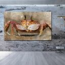 obraz KRAB 1 - 120x70cm na płótnie modern