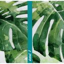 Obraz drukowany na płótnie KWIAT MONSTERA 80x120cm 03142