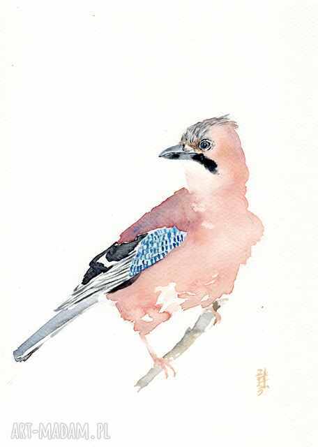 Oryginalna akwarela. Sójka