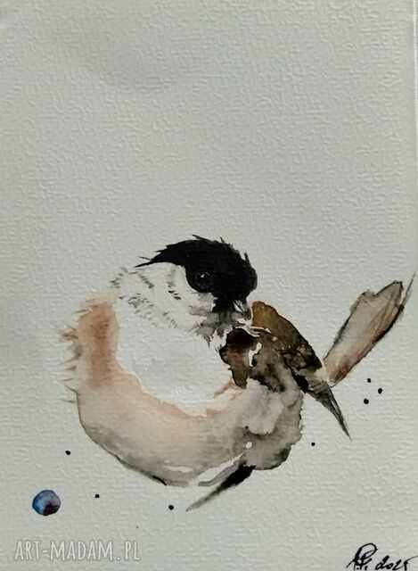 Sikora czarnogłowa. Akwarela