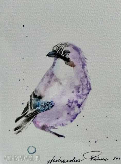 Elegancka sójka. Akwarela