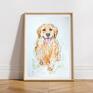 brązowe golden retriever obraz przedstawia psa rasy. namalowany został akwarela