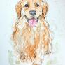 Obraz przedstawia psa rasy golden retriever. Namalowany został akwarelami na papierze A4, 300g/m2. Akwarele