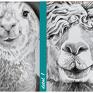 ludesign gallery z alpakami portret rodzinny - nowoczesny drukowany na grafika alpaki obraz zwierzęta