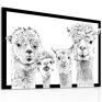 rodzina wesołyxh - nowoczesny drukowany na płótnie 120x80cm zwierzęta alpaki obraz na prezent
