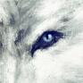 wiedźmin obraz - biały wilk - wydruk na płótnie płótno