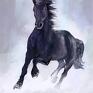 Czarny koń - wydruk na płótnie - płótno obraz konik
