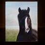 "Białonosy" - Obraz olejny na płótnie, 40x50 cm - koński koń portret