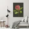 ludesign gallery kwiat protea drukowany na płótnie - duży format obraz natura