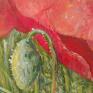 Czerwony polny mak akryl - duży obraz kwiat