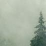 obraz do salonu l3 - 120x80cm we mgła las