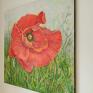 Czerwony polny mak akryl - duży obraz kwiaty
