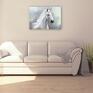 Yenoo Biały koń 120x85 - wydruk na płótnie - obraz canvas