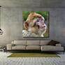 małpka obraz 1 - 100x100cm na płótnie