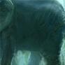 Dżungla, słonie - wydruk na płótnie - obraz