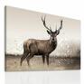 ludesign gallery obraz na płótnie 100x70cm jeleń w naturze 021 - natura jelen