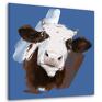 brązowe obraz drukowany na płótnie łaciata krowa na niebieskim zwierzęta krow
