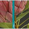 kwiat protea różowe czas realizacji: 1 2 dni wymiary: 70x100cm metoda produkcji obraz natura