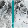 Obraz drukowany na płótnie z wilkiem120x80cm - pbraz pejzaż z wilkiem