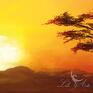 żółte obrazy obraz - afryka 1 - płótno malowany, pejzaż, słońca zachód