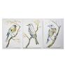 Komplet 3 oryginalnych akwarel. Obrazy ptaki