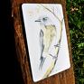 akwarelowe, komplet 3, obrazy miniatury ze akwarele ptaki