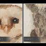 pióra natura obraz na płótnie - sowy tryptyk - 3x50x70 cm stonowany