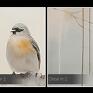 ptaki na linie na płótnie - polskie na gałęzi wróble - 120x80 cm obraz z ptakami